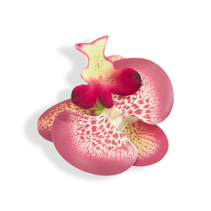 Orchid Flower Burgundy