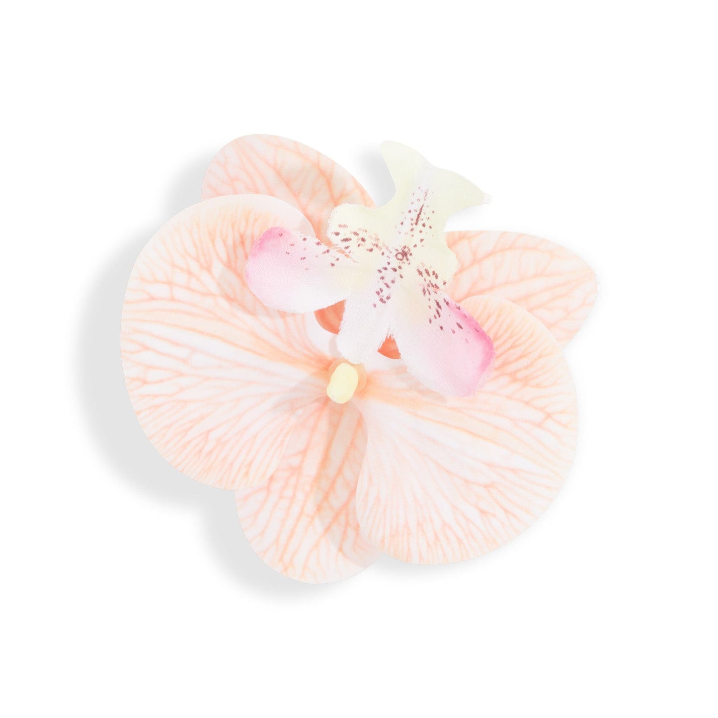 Orchid Flower Cream