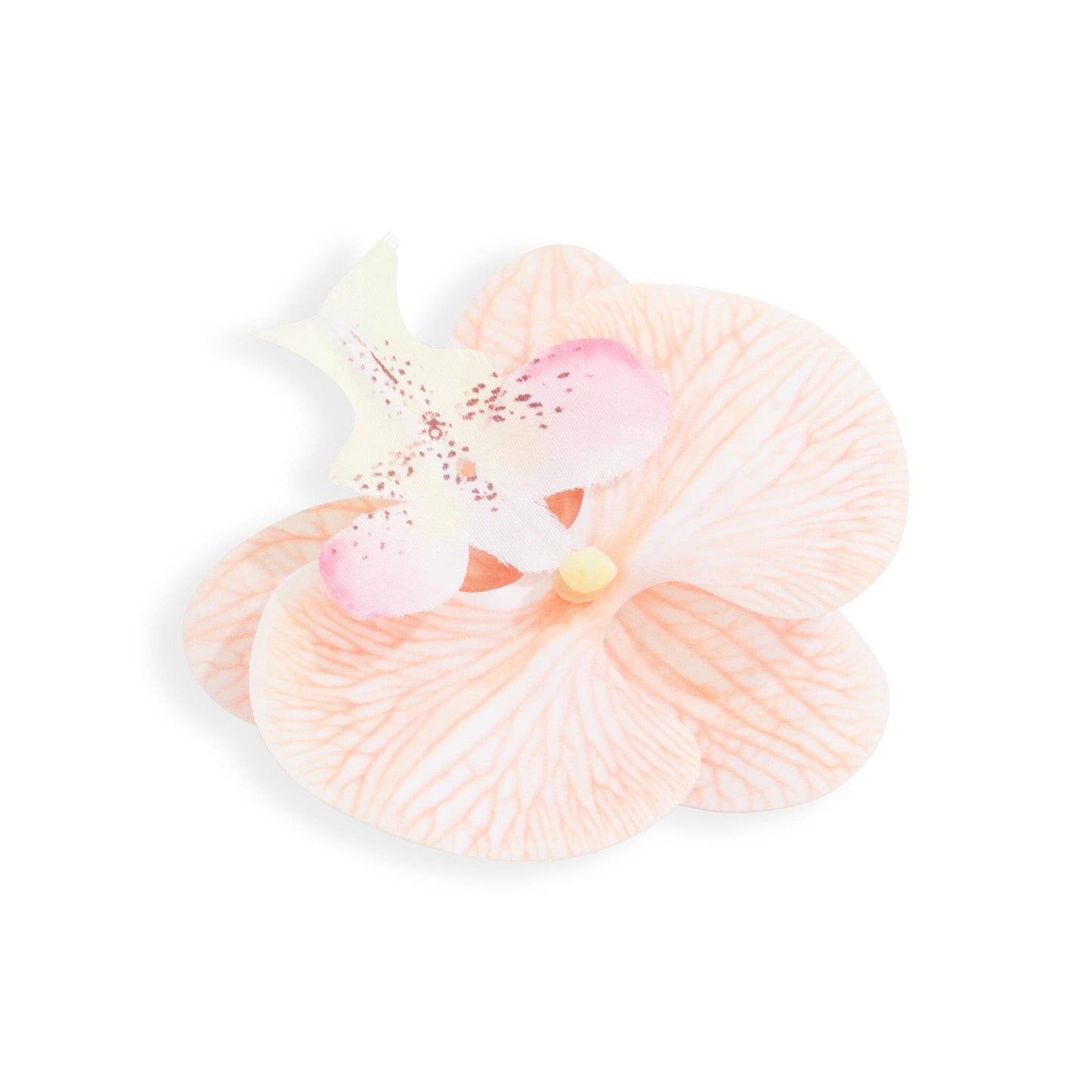 Orchid Flower Cream